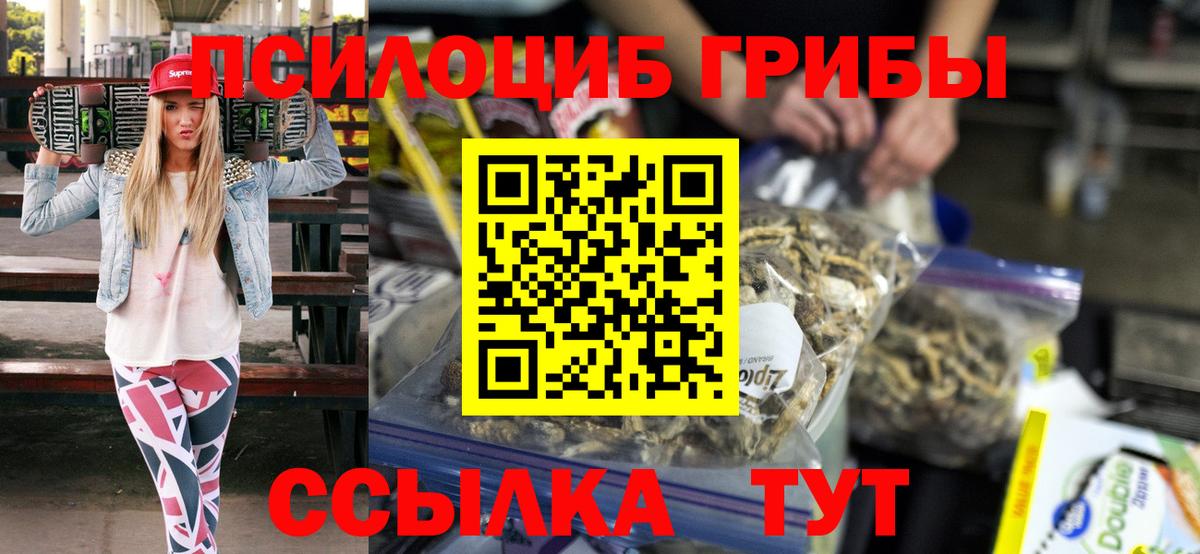 Подольск  Псилоцибиновые грибы Psilocybine cubensis  Вход с VPN 